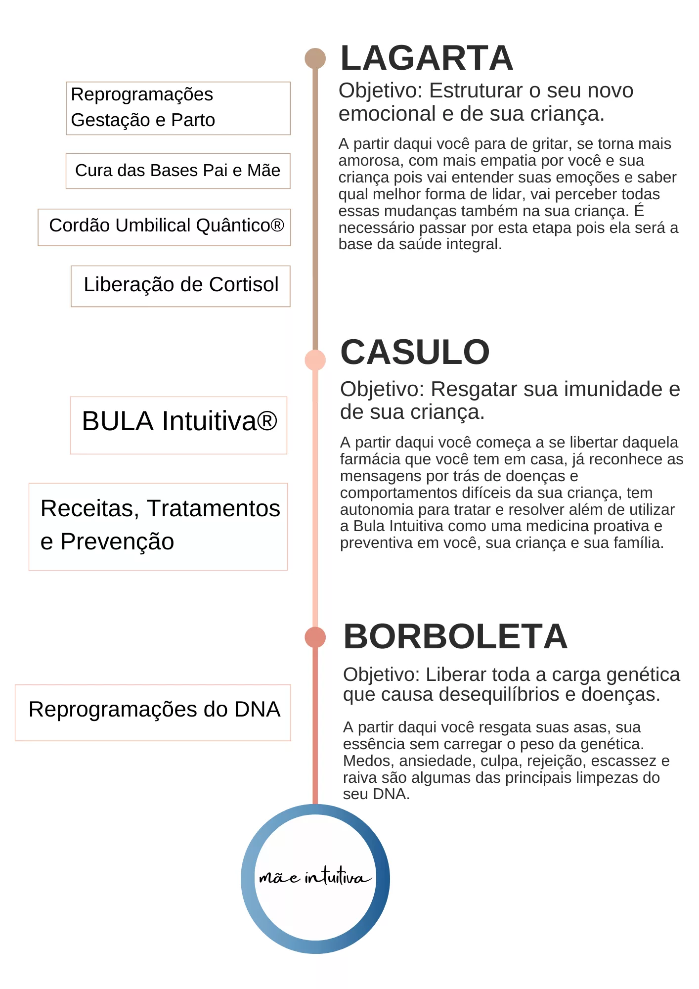 Programa Mãe Intuitiva - Lagarta, Casulo, Borboleta